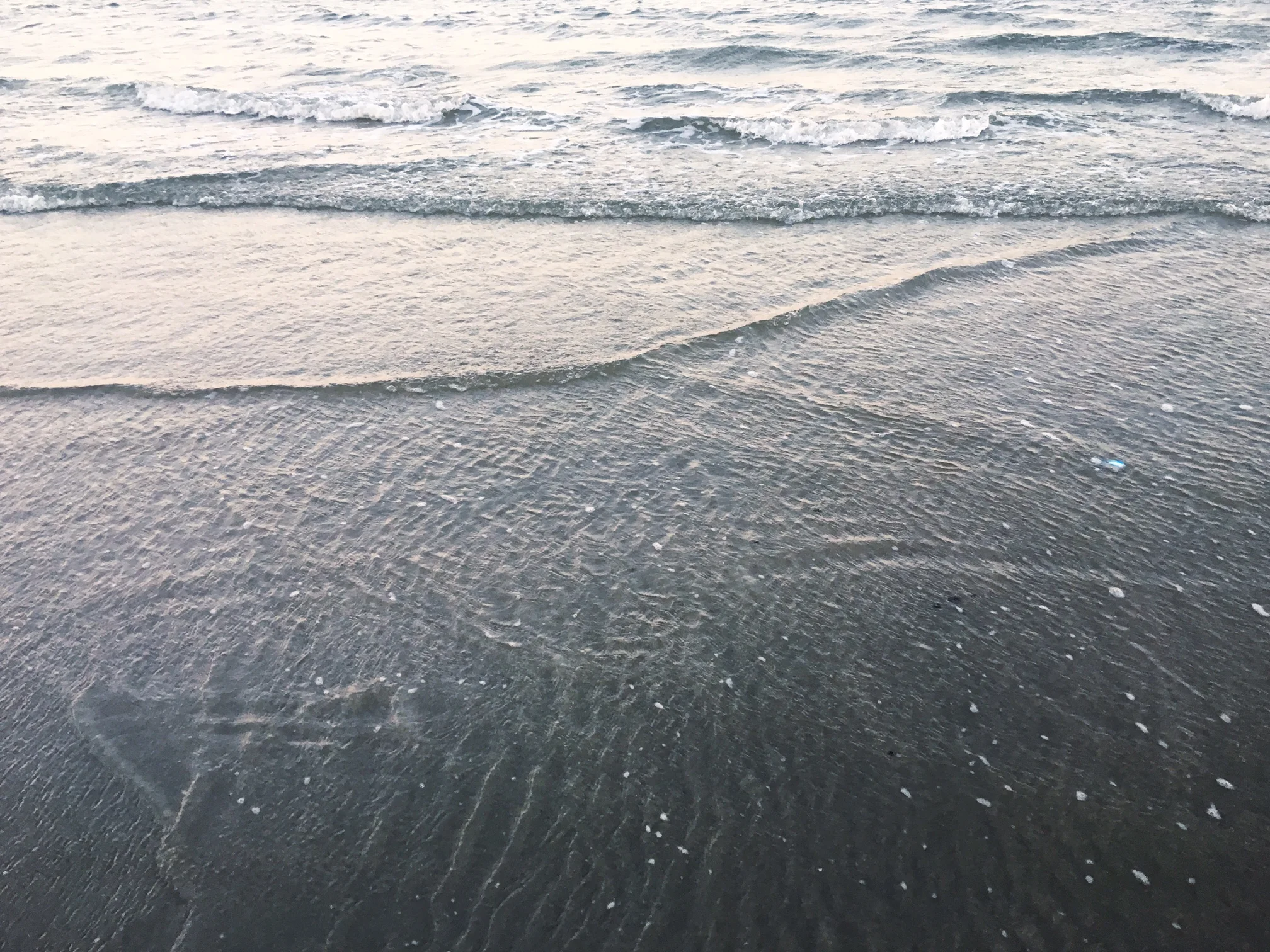 (inspiration image taken by Brynn Casey) Sullivan's Island, South Carolina