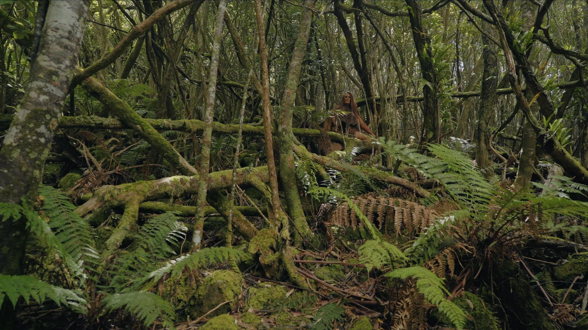 Screen Shot 2023-02-14 at 1.34.52 pm.jpeg