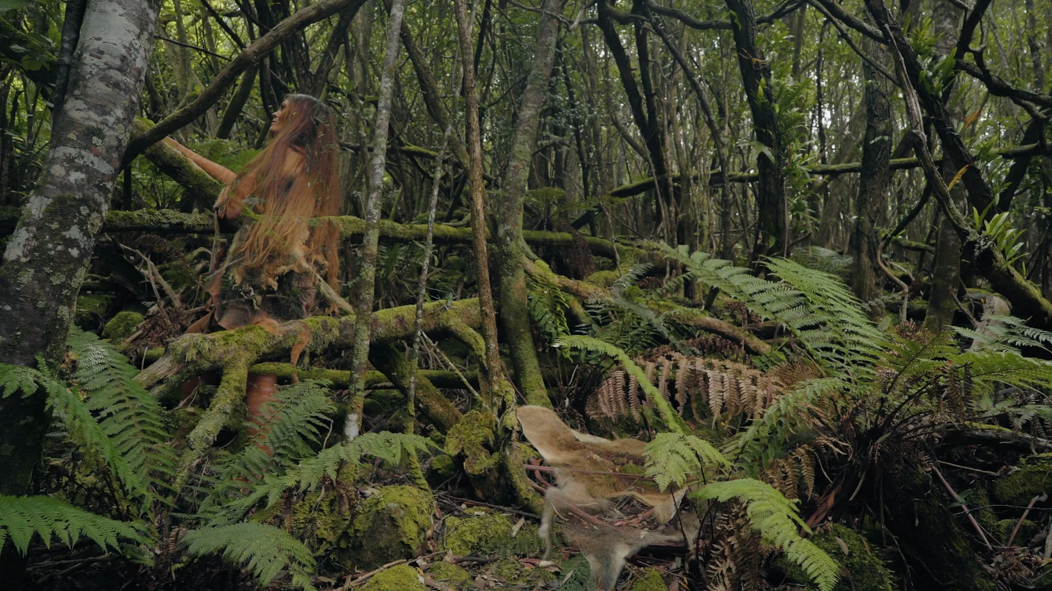 Screen Shot 2023-02-14 at 1.34.42 pm.jpeg