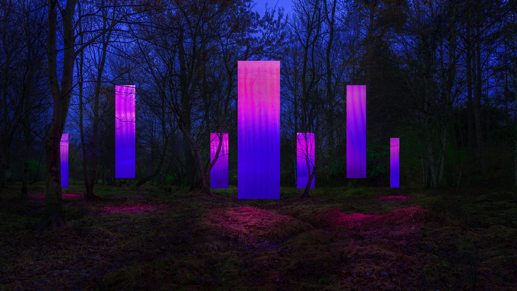 TransientEclipse-Purple-07011.jpg