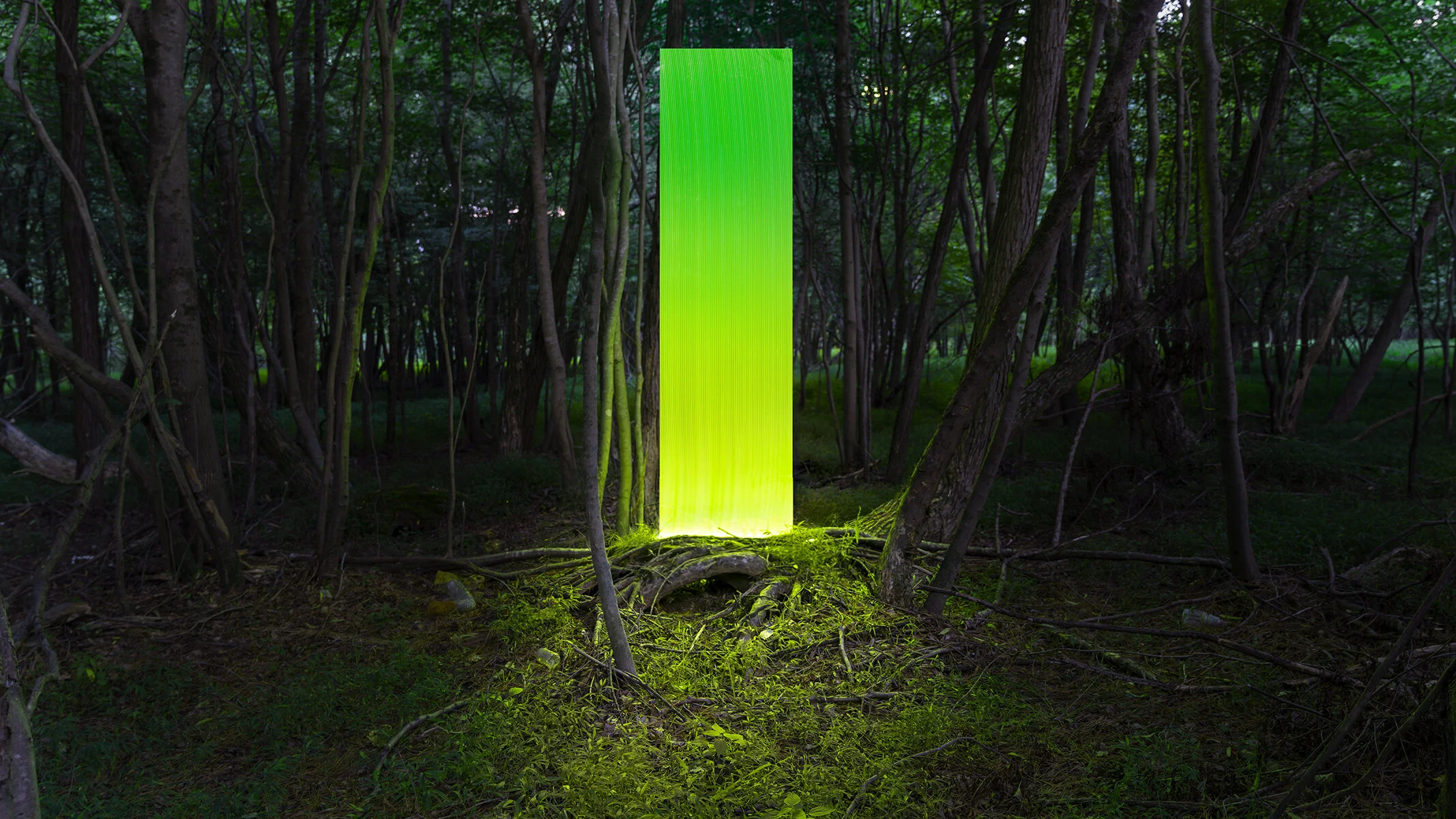 TransientEclipse-VertGreen-09407.jpg