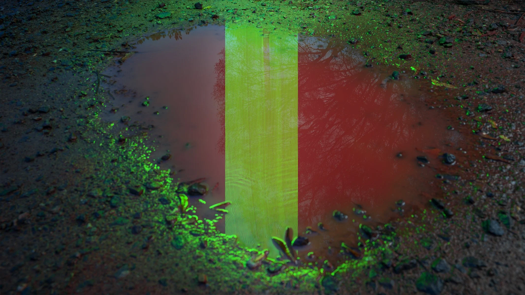 TransientEclipse-GreenPuddle-04991.jpg