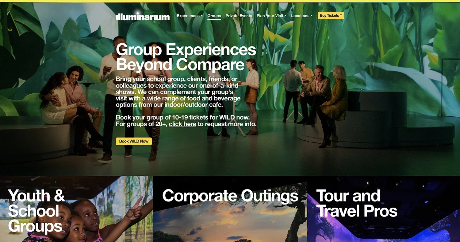 Illuminarium-WILD_Documentation.jpg