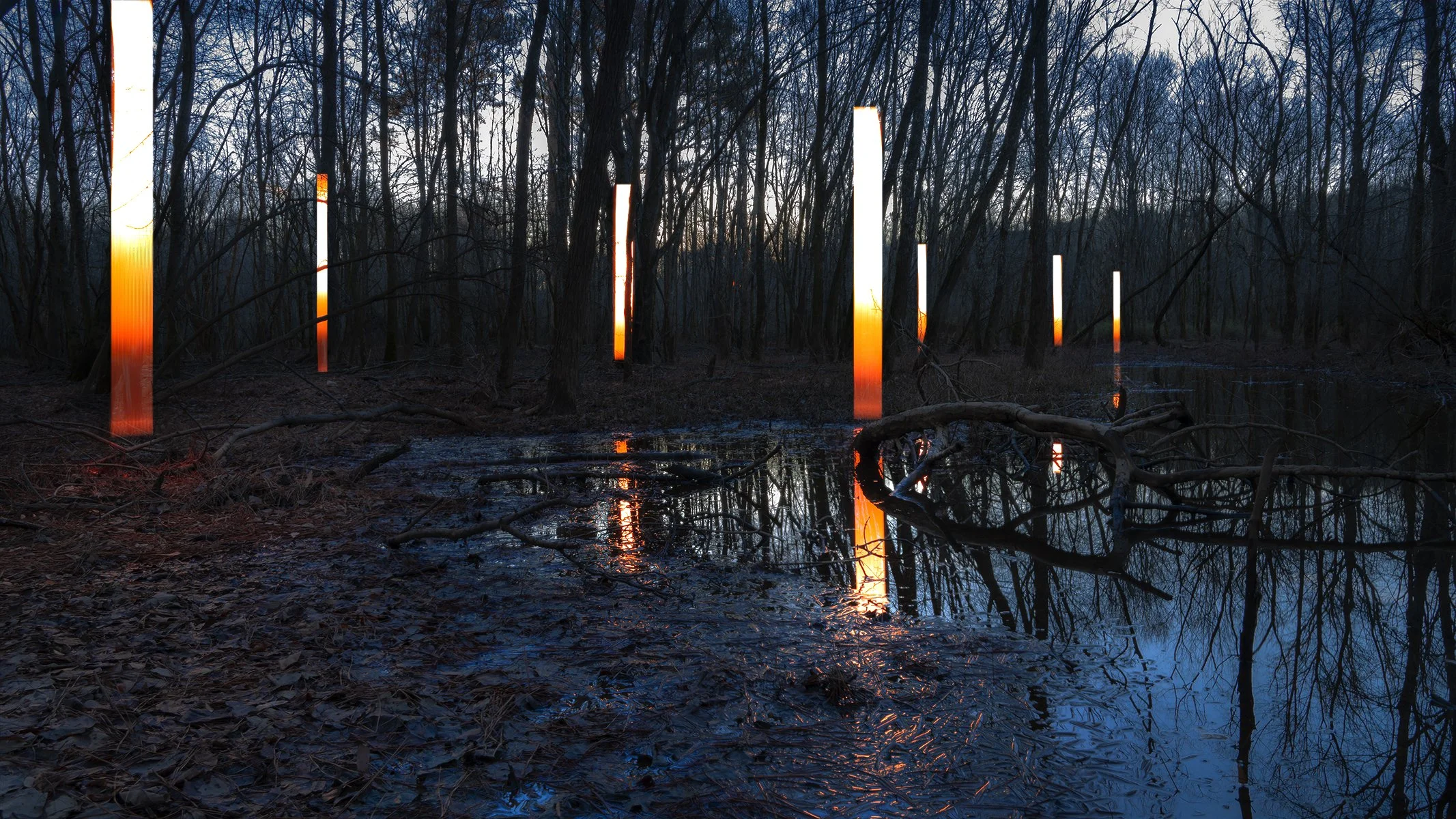 TransientEclipse-VertOrangeBars-01541.jpg