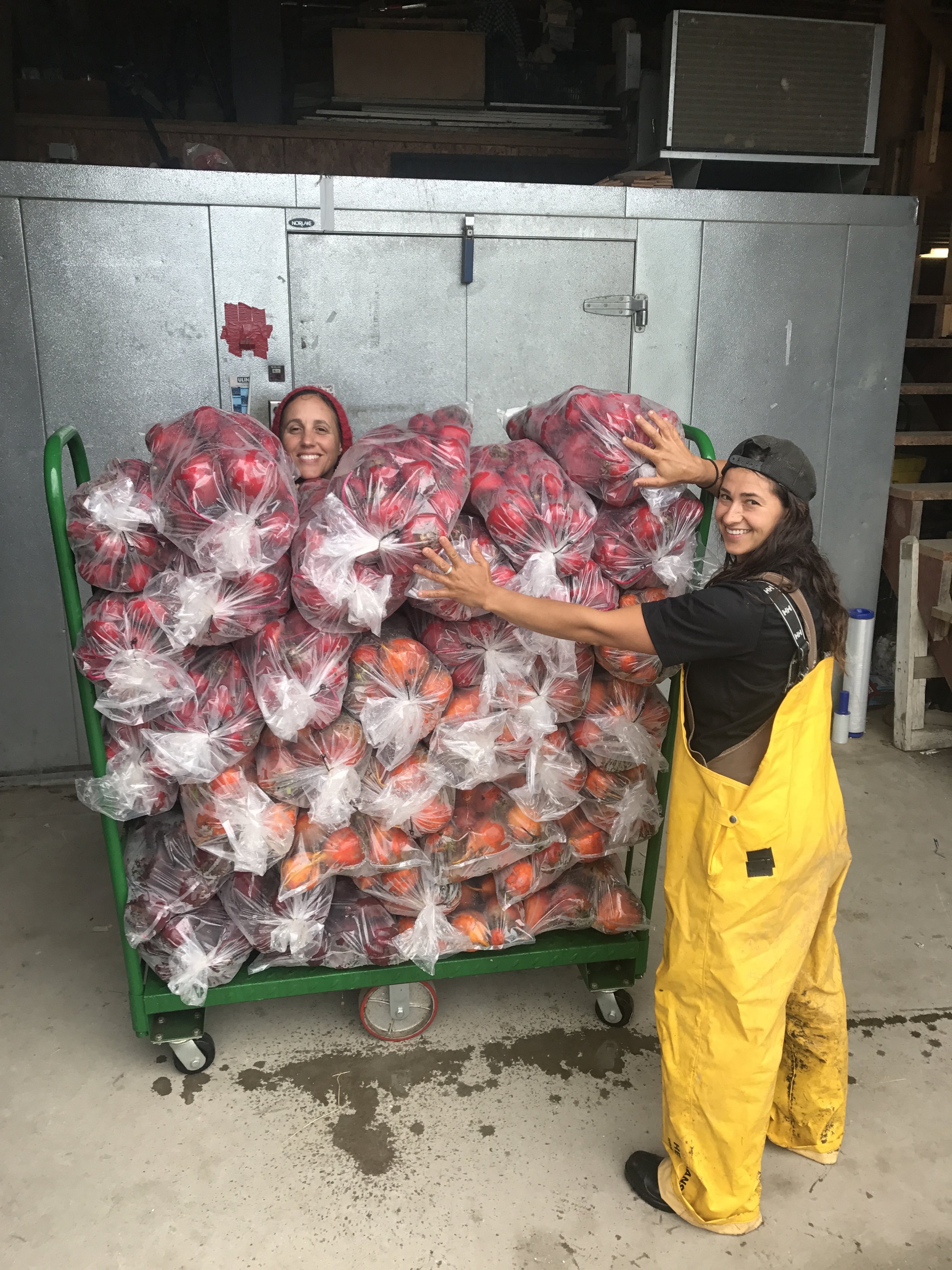 Hiring 2024 — Pitchfork Farm