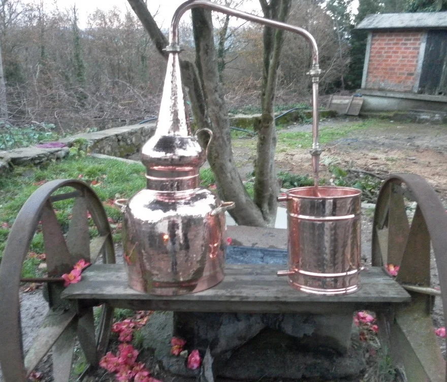 Whiskey Alembic Still 40 L with free gas burner — Moonshine Stills