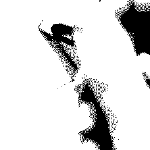 p.gif