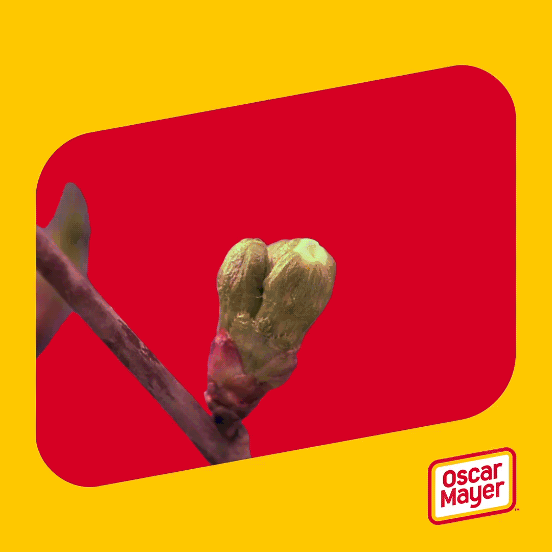 OM_SANDWICHBLOOM_SQUARE_LOGO.gif