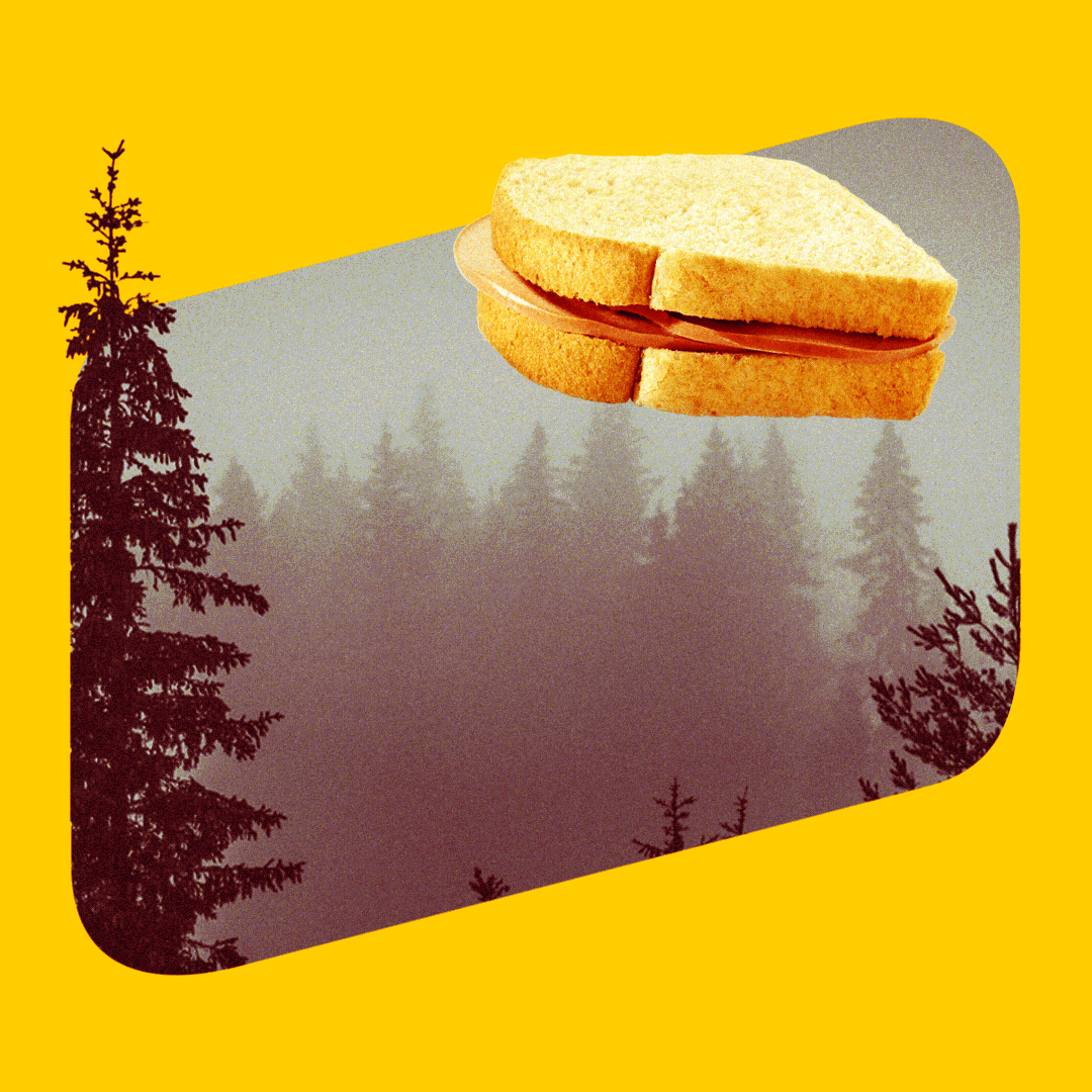 IWantToBologna.gif