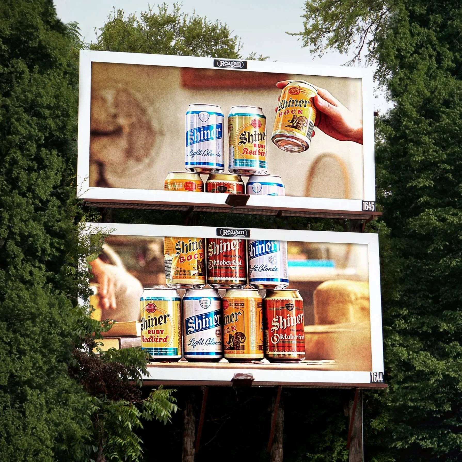 Shiner-OOH-Beeramid-landscape.jpg