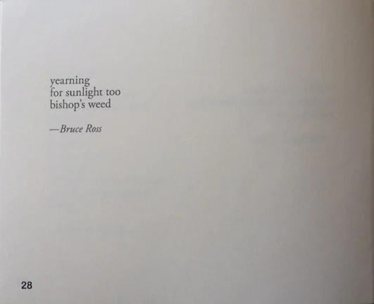 yearning