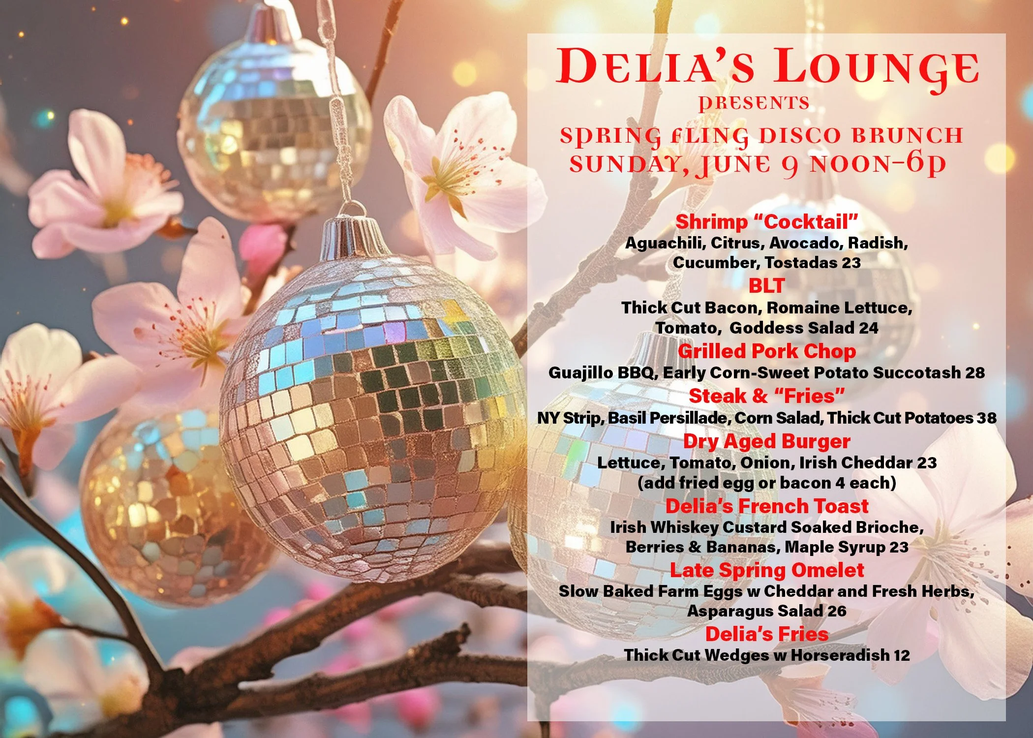 Spring Flight Disco Brunch