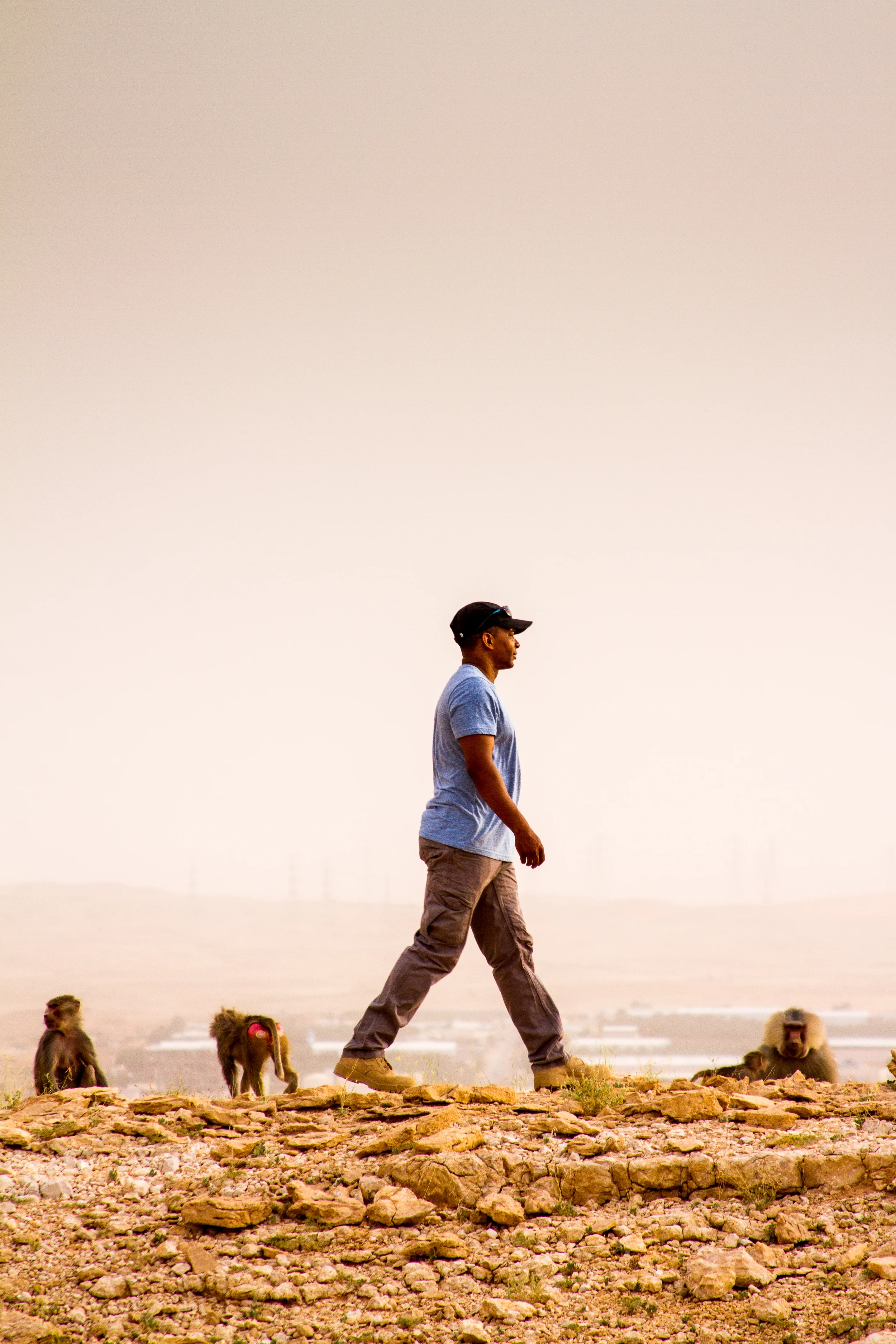 Evolution of Man with Baboons-6019.jpg