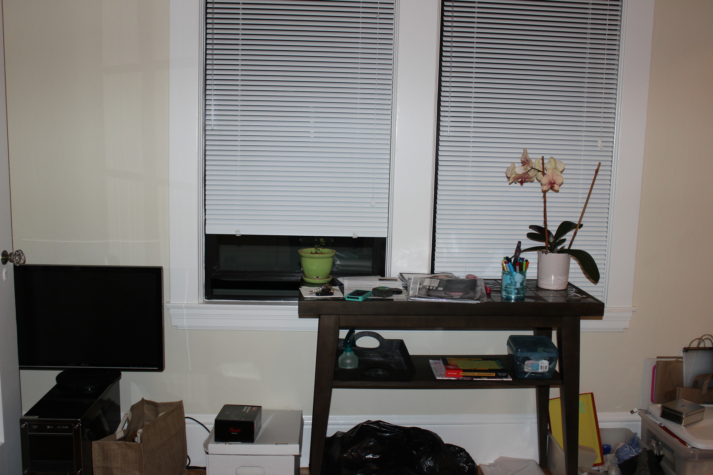 Here is my favorite part of the apartment. If the client moves in the future, the storage credenza can be repurposed as a media console. I've been hoarding that elevated beaker vase and the Mr. and Mrs. containers for a long while in my accessories closet. I could think of no better home than this bright little space. 