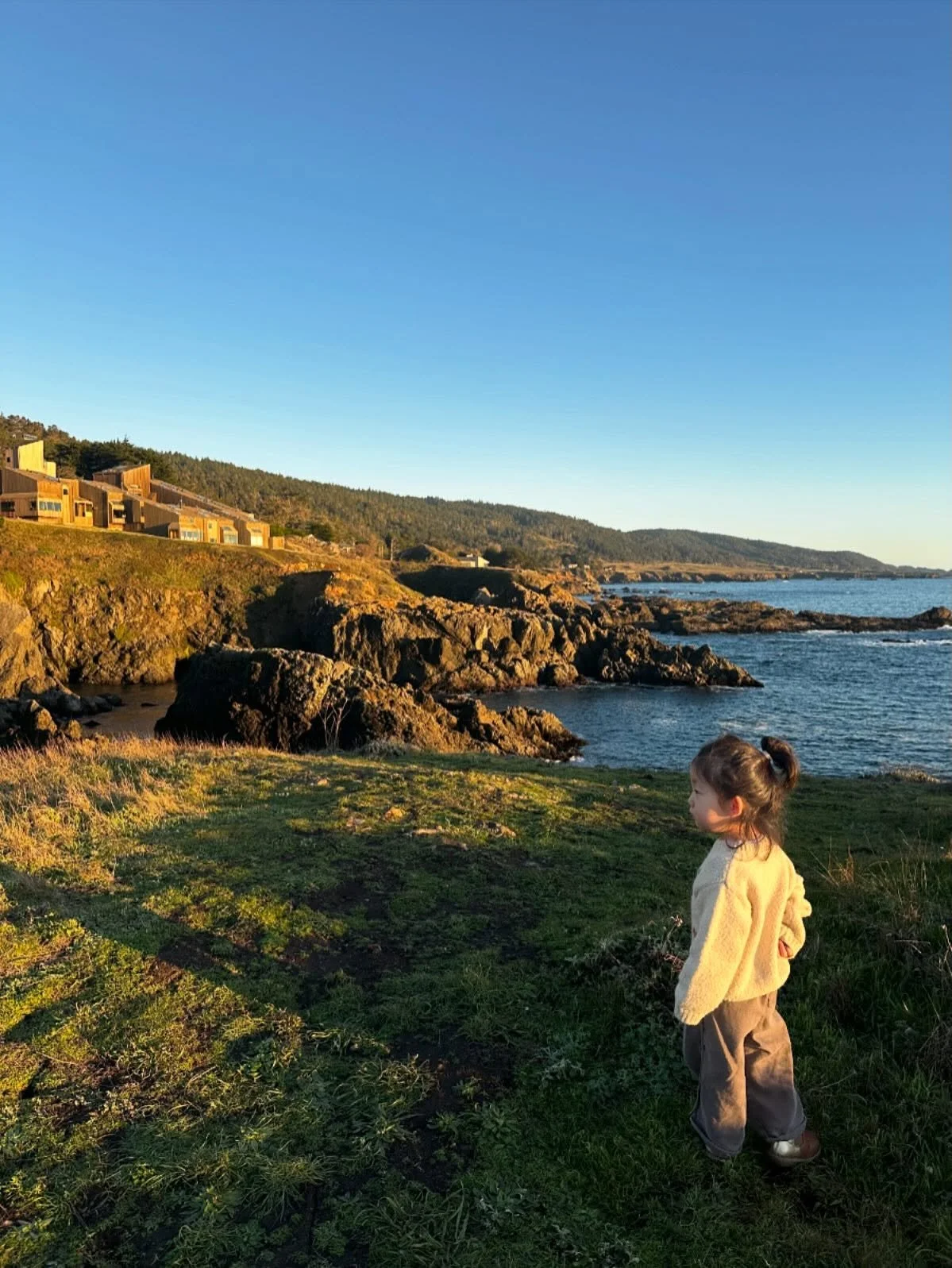 See ya 2025! It&rsquo;s been an amazing year. 

A year of juggling and prioritizing. 

A year where I was finally able to share regarding the release of my book - something I&rsquo;ve been working on for the last several years. 

A year where Sammy a