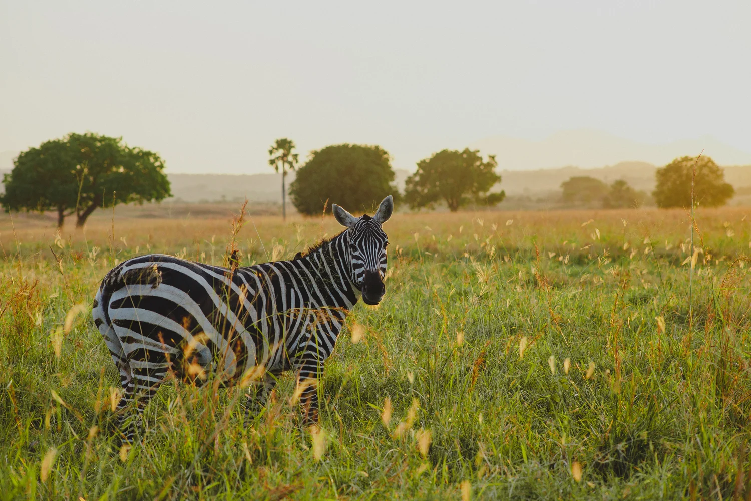 Travel_Uganda-019.jpg
