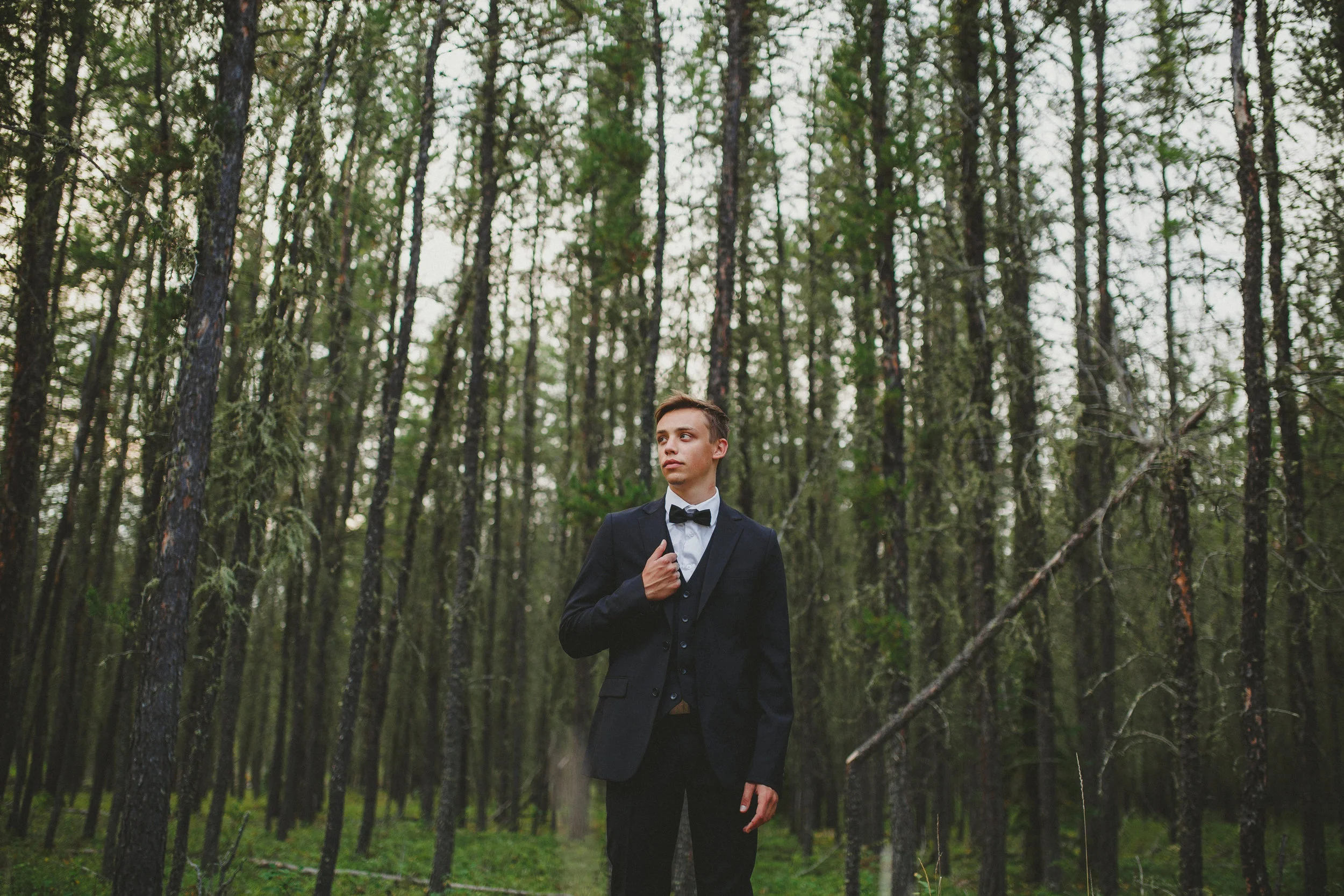 2015 - A YEAR IN REVIEW