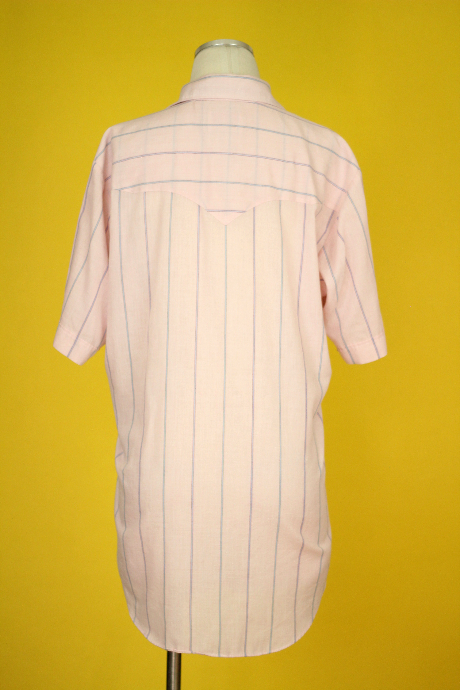 item_1036_back.jpg
