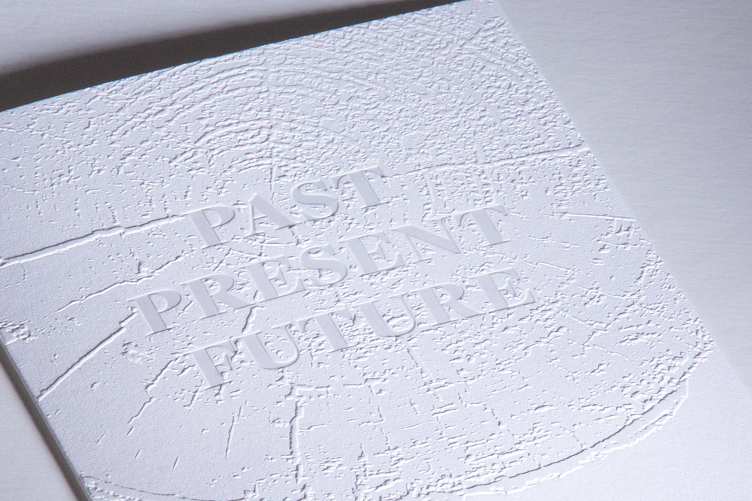 White and Case48520.jpg