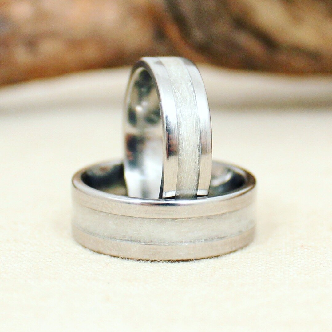 Black Zirconium Wooden Ring Lined with Beetle Kill Pine — WedgeWood Rings