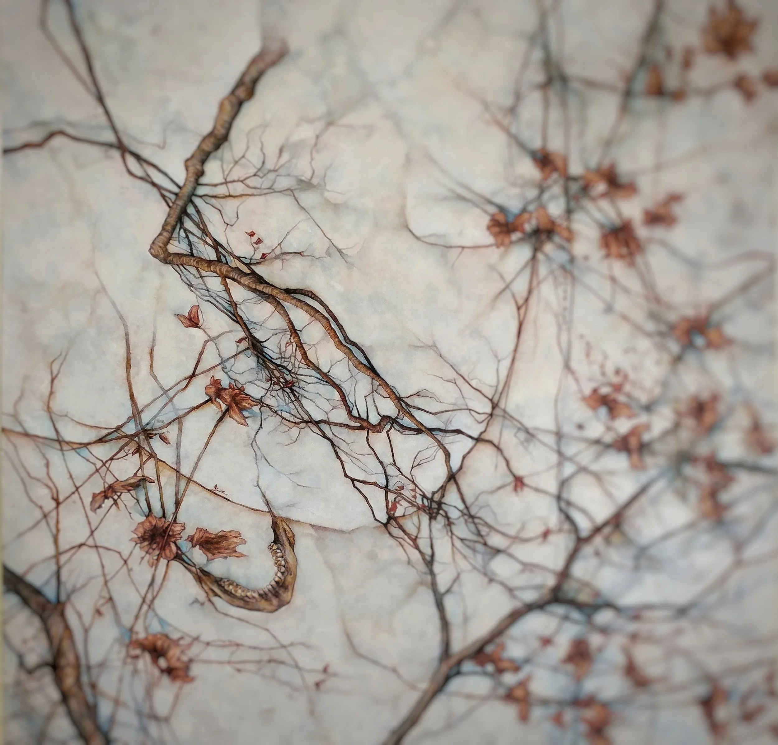 IMG_20190221_145021_724-01 (1)-01.jpeg