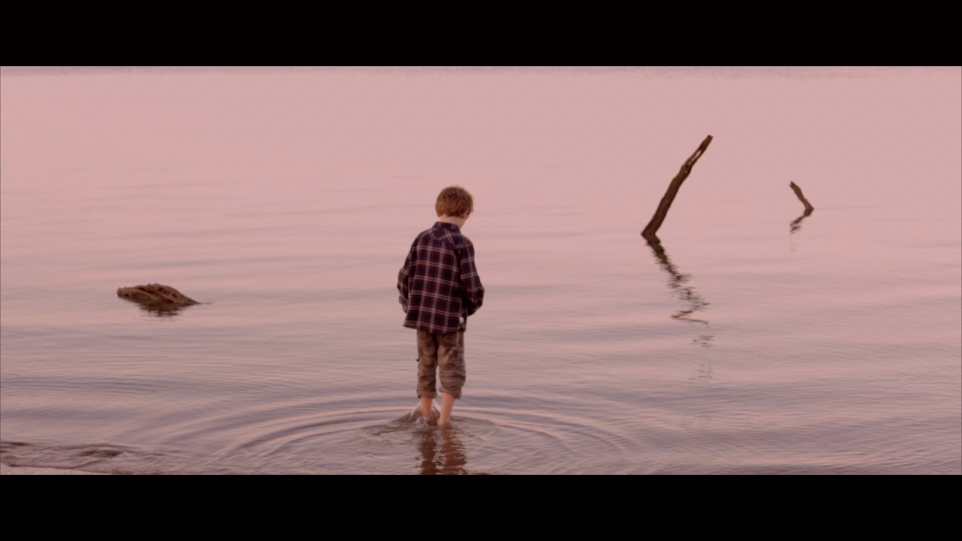 The Hamster King (Short Film)