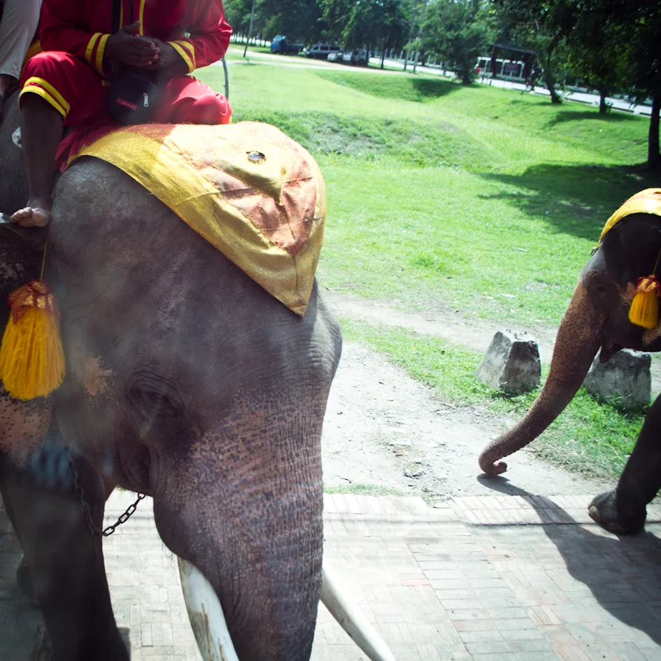 Tailandia from the bus-11.jpg