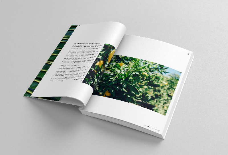 Book_Mockup_5_1.png