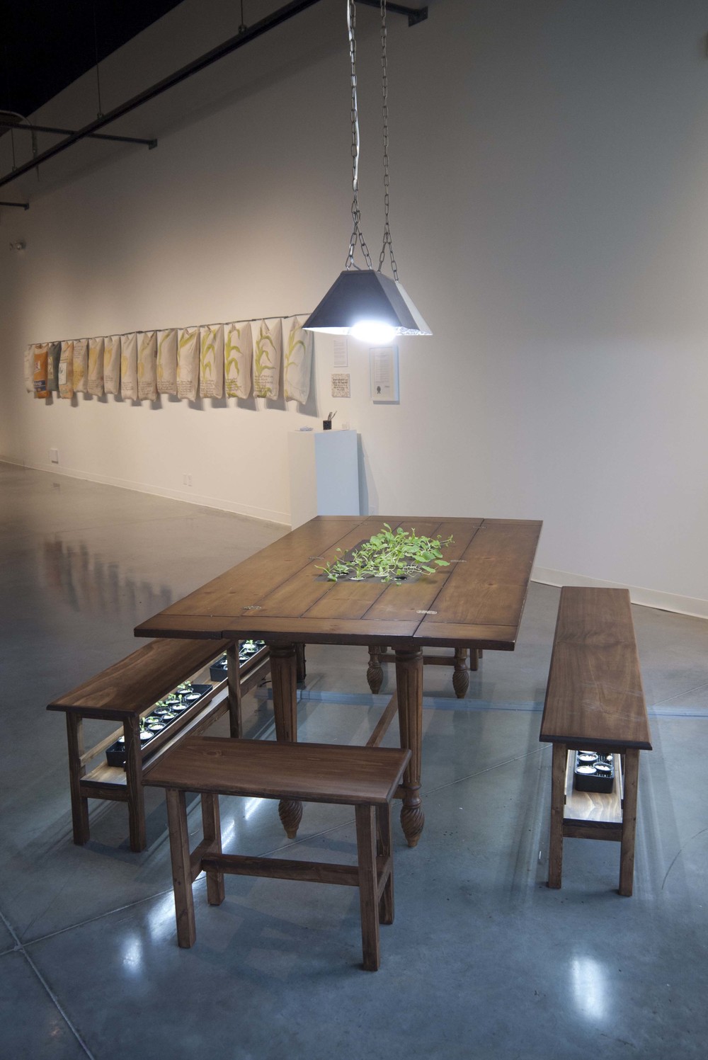 hydroponic table.jpeg