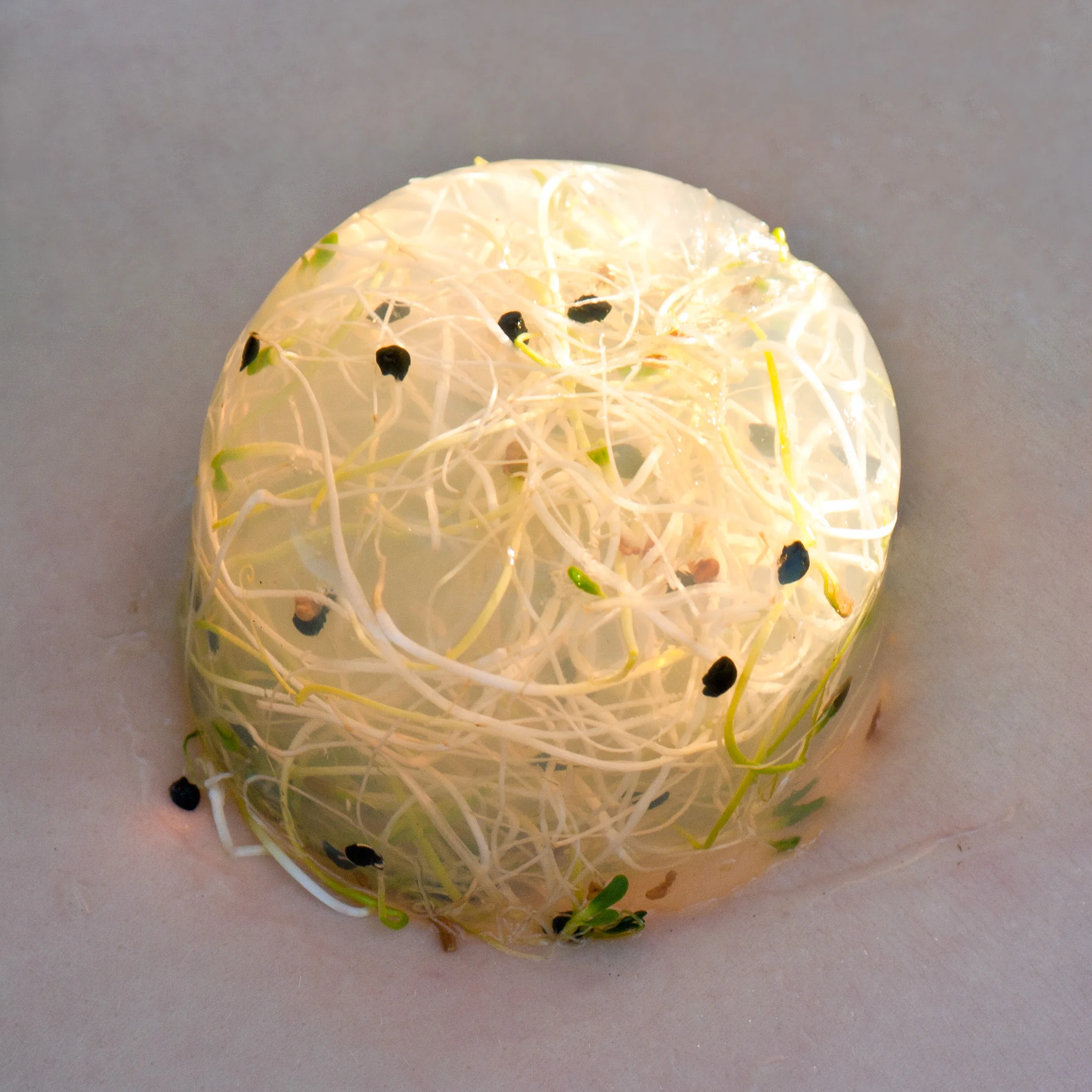 Circle Test_7x7.jpg