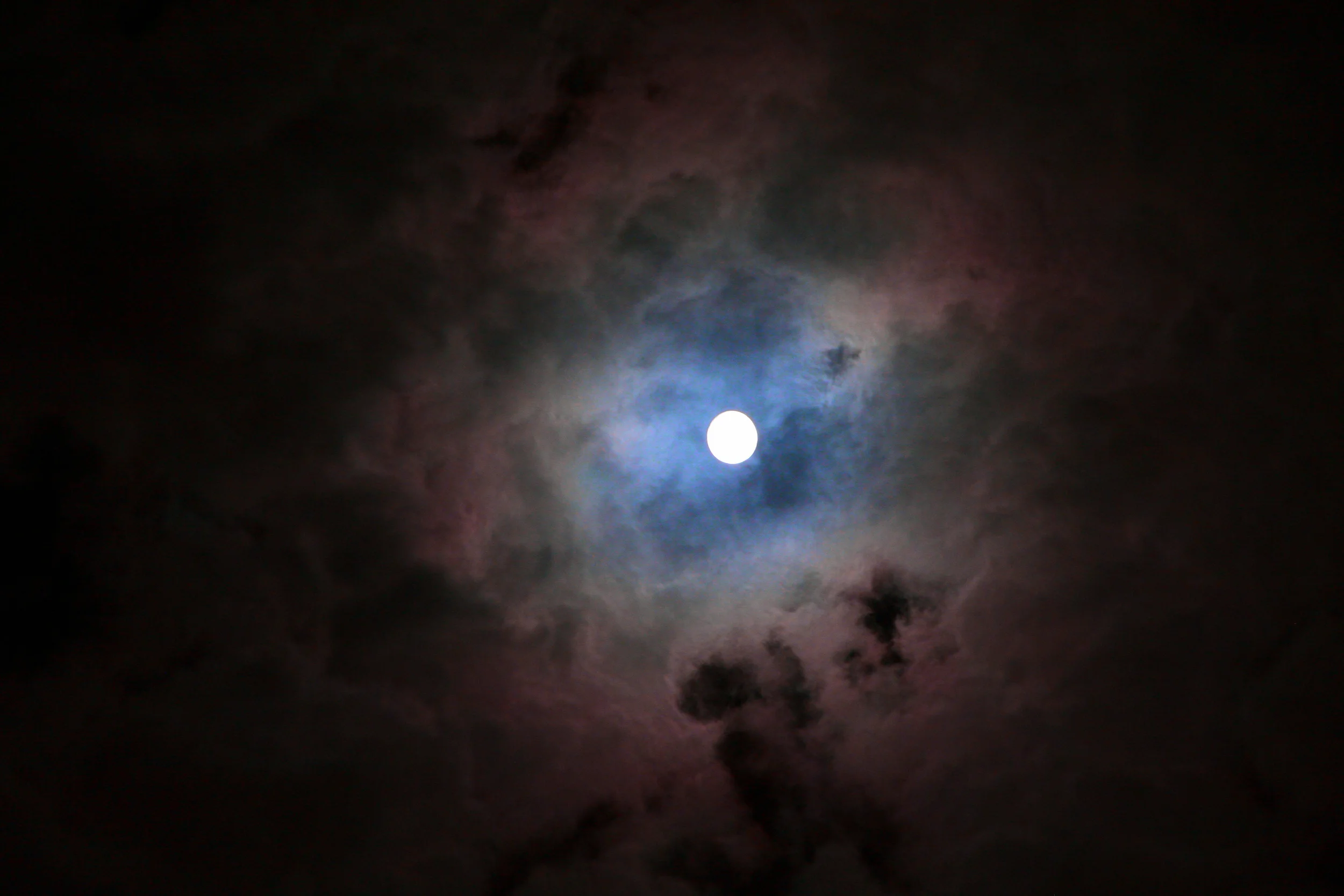 IMG_2912 - Version 2.JPG