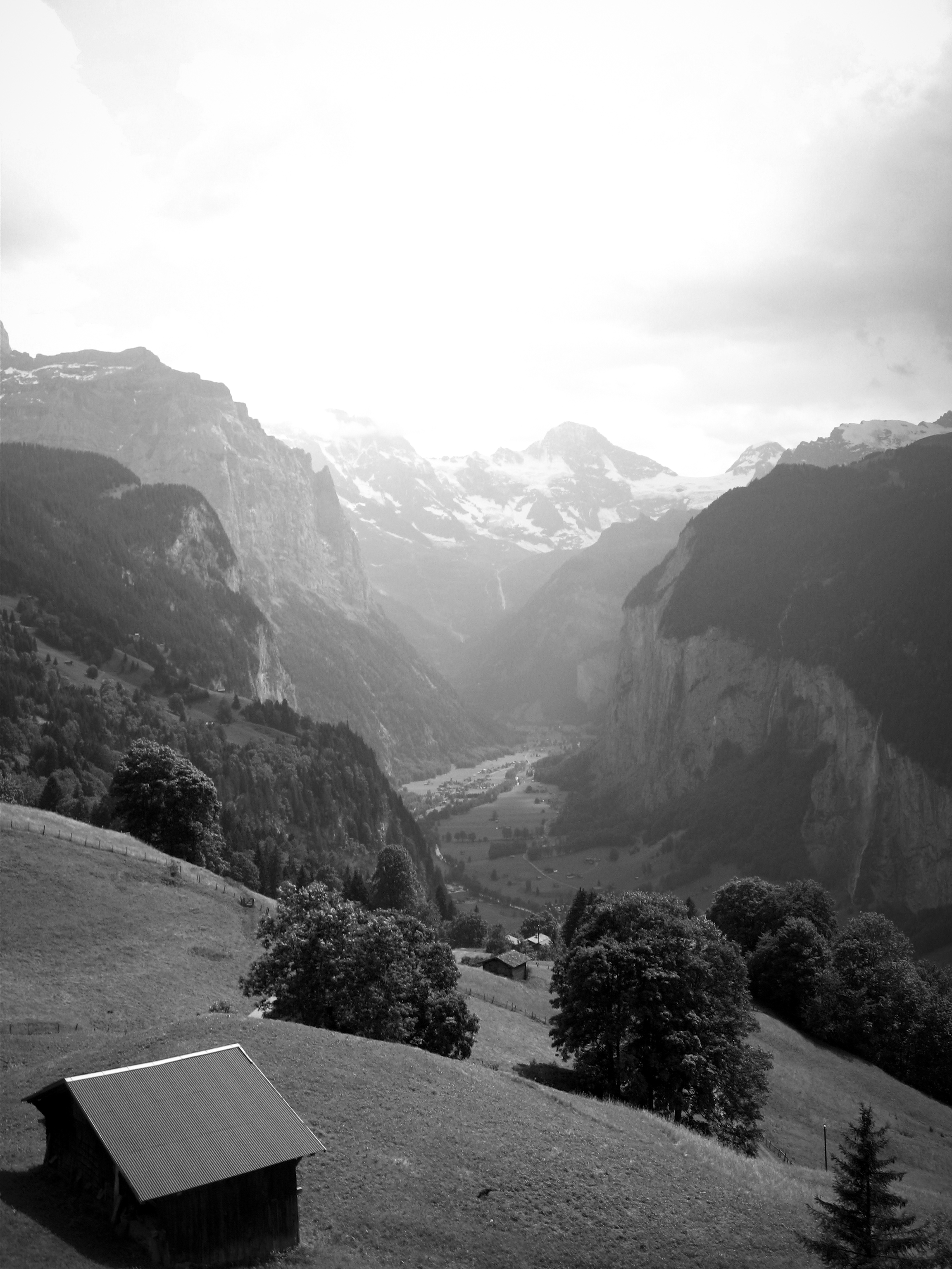 EPV0290 - Version 2.JPG