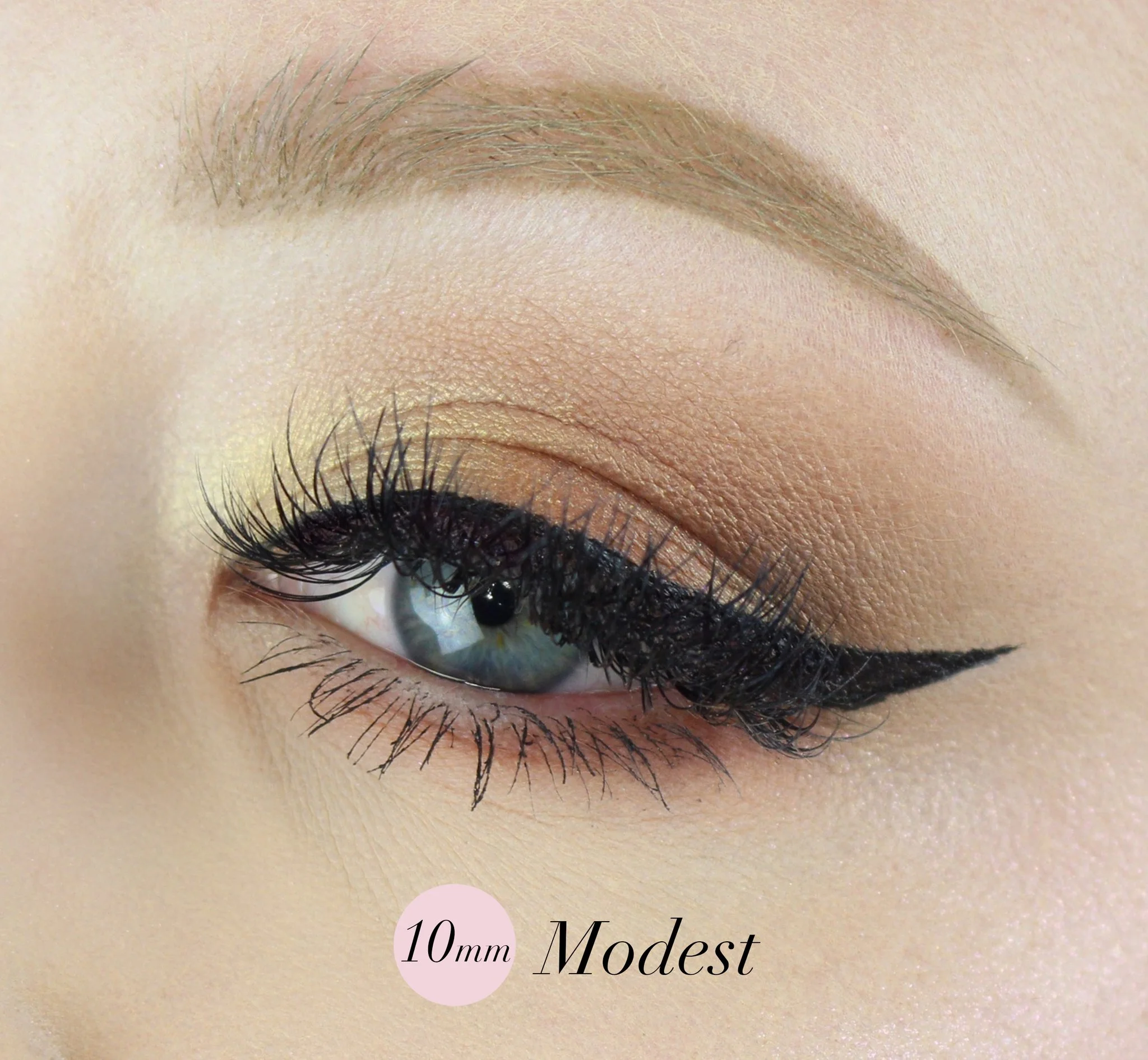 modest_548d3d6a-e9d9-4a34-a7be-911e62078279_2048x.jpg