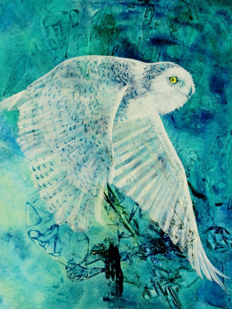 Snowy Owl