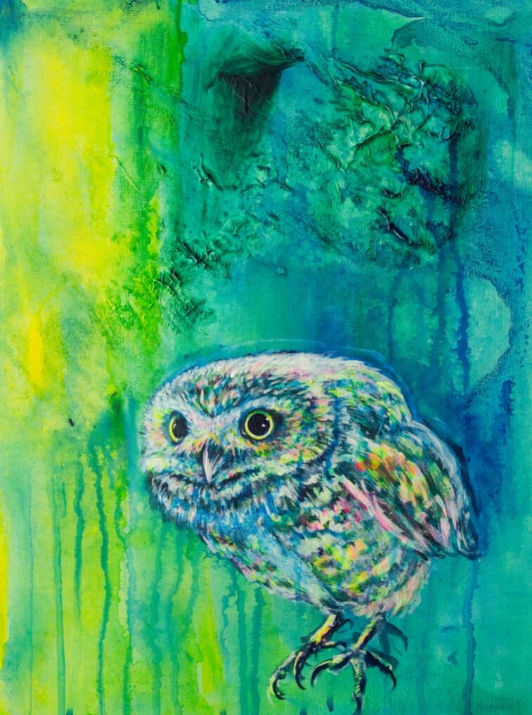 Neon Burrowing Owl