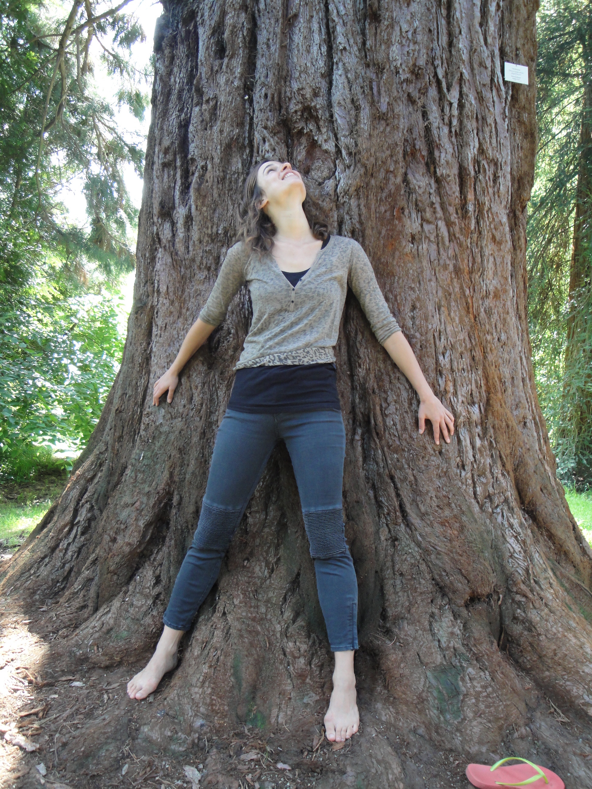 One big old tree.
