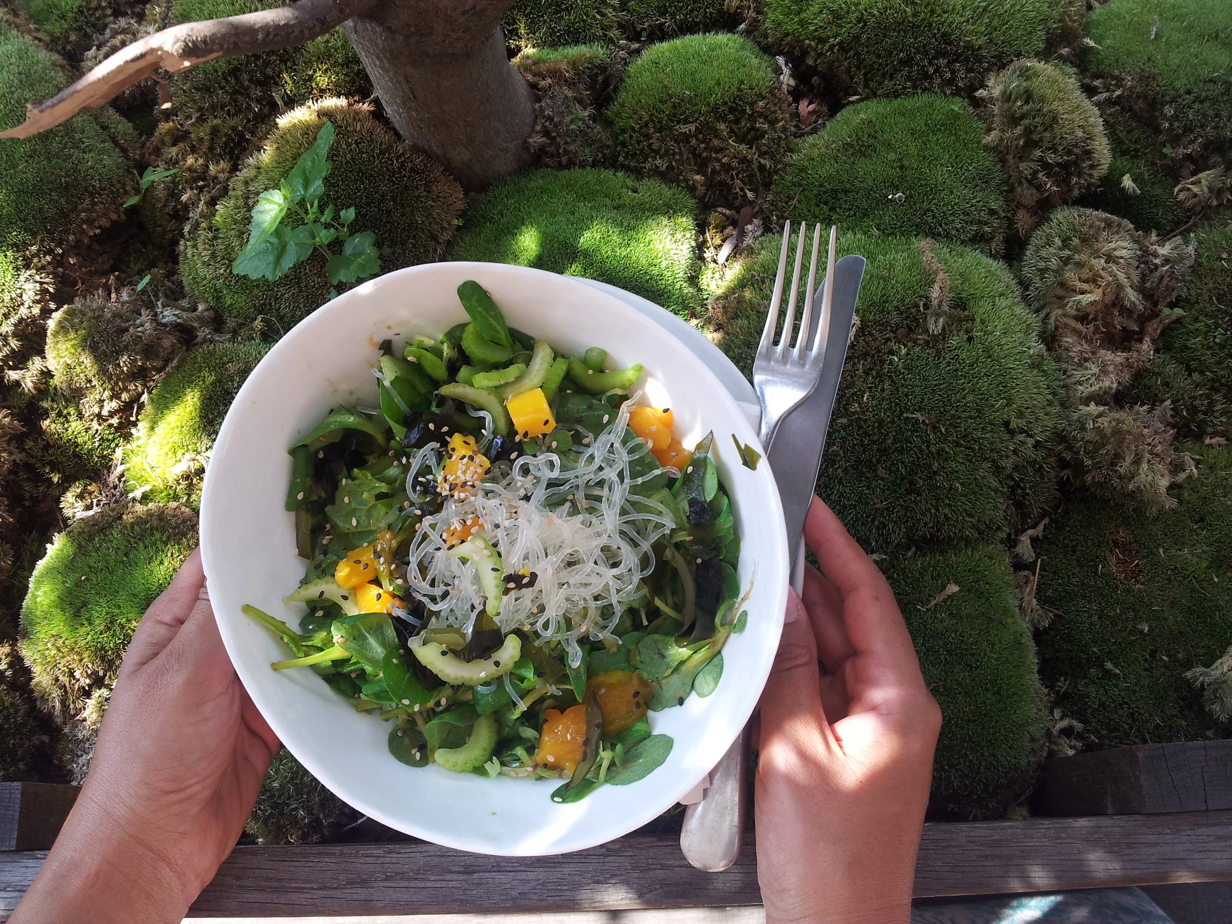Really nice salads at Daluma's