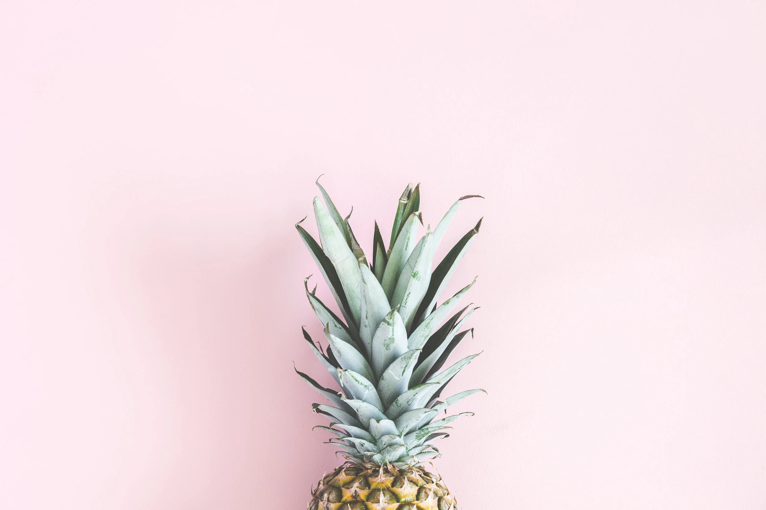 AdobeStock_205834541.jpeg