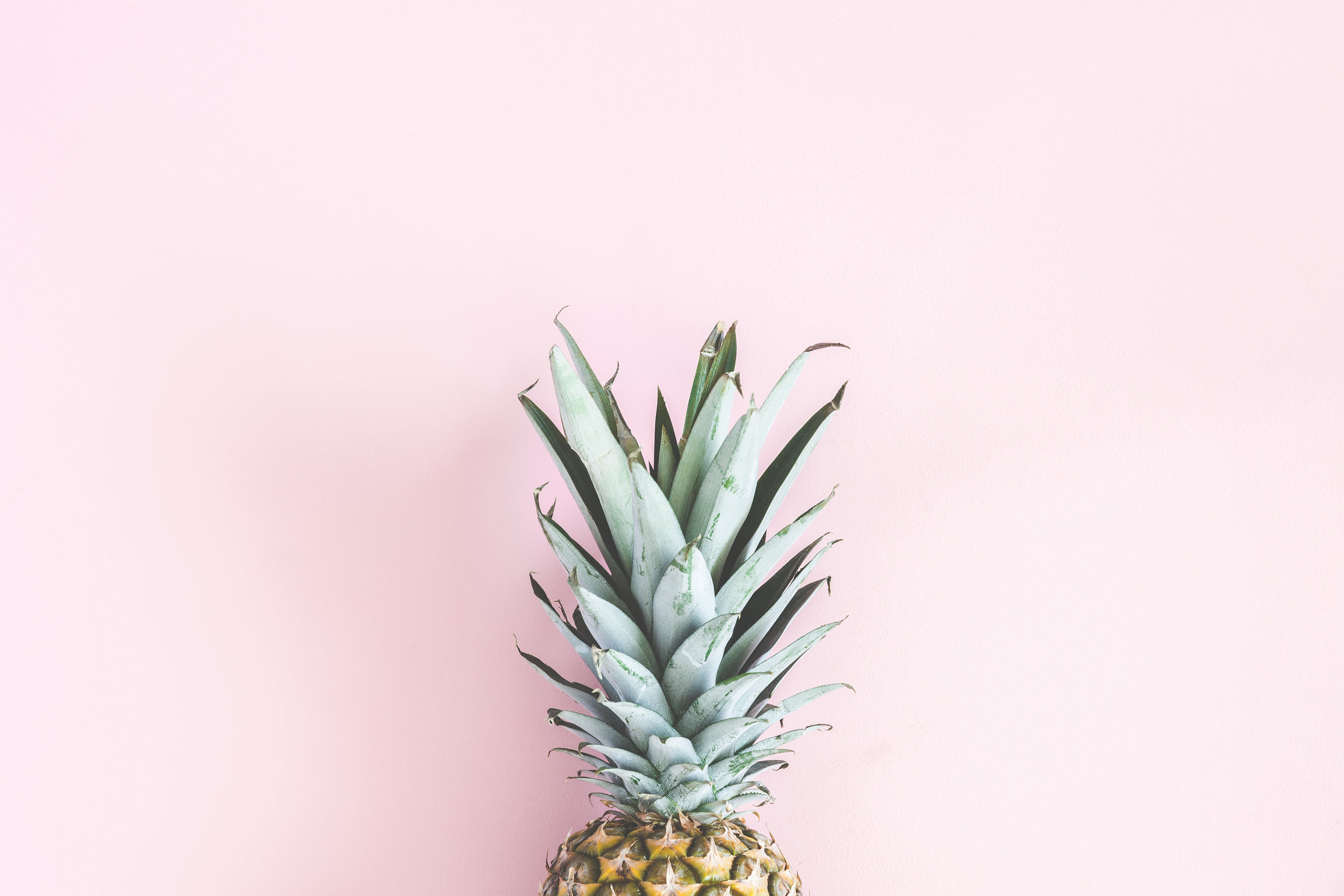 AdobeStock_205834541.jpeg