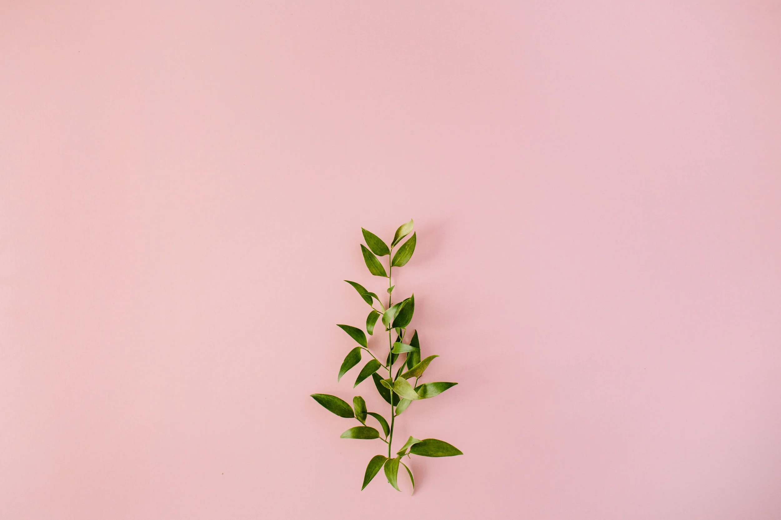 AdobeStock_120728634.jpeg