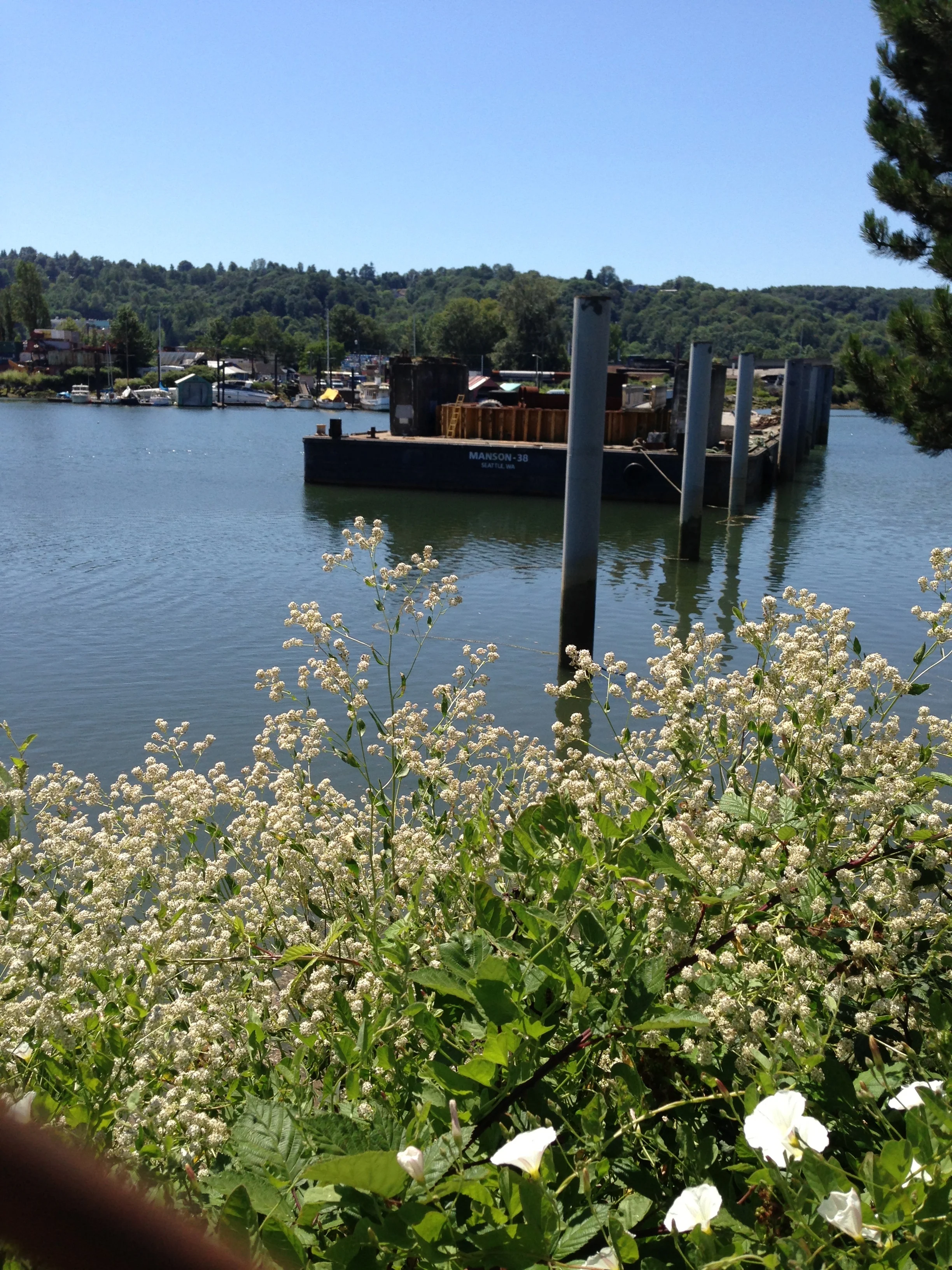 Along the shores of the Duwamish River exist an eclectic mix of green bels, industry and neighborhoods.