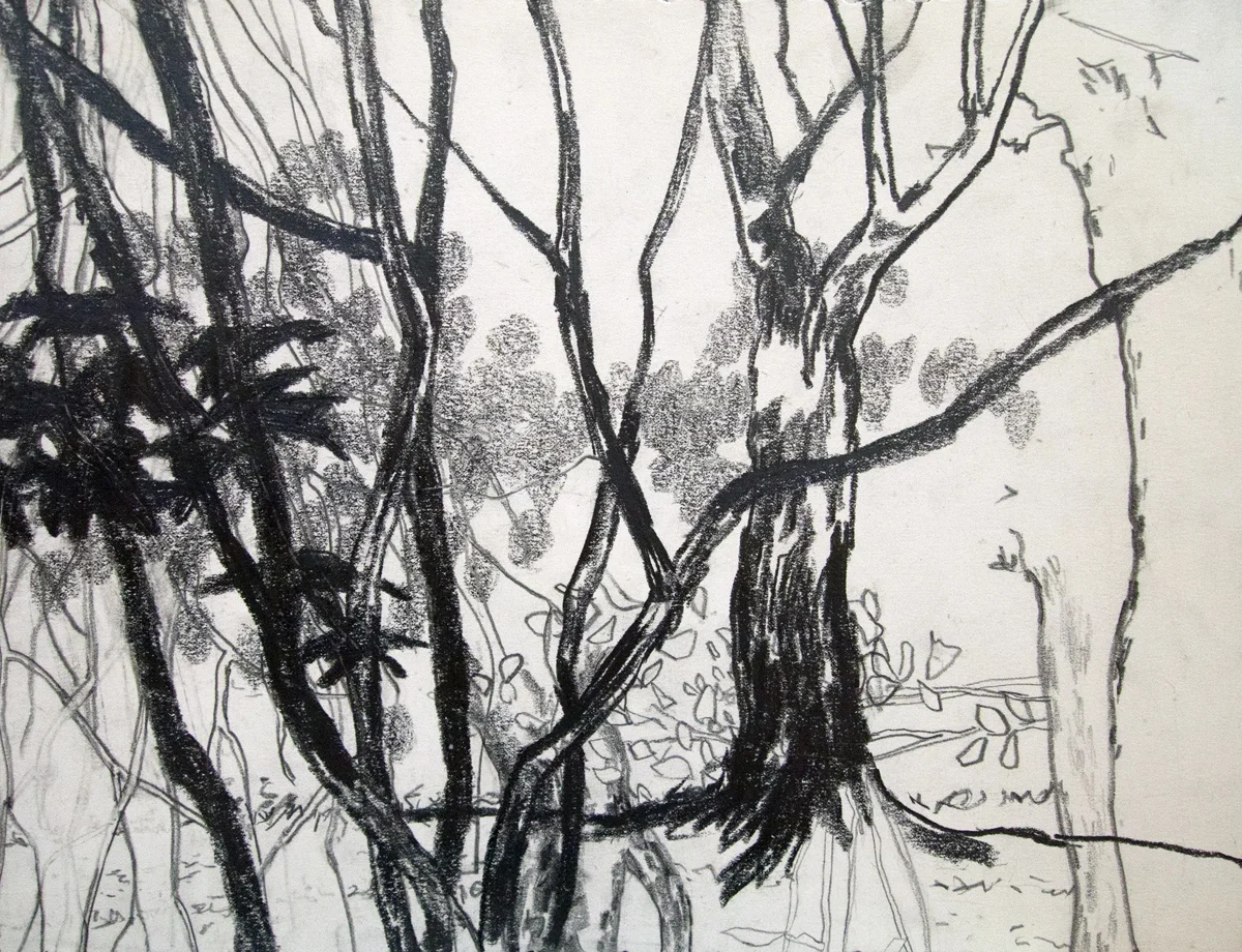 Theobald_Duwamish 10_11x14_Graphite on paper_2018 copy.jpg