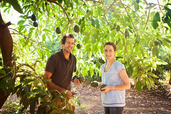 Barham_Avocados_Sarah_Anderson_Victoria_trees_avo_couple