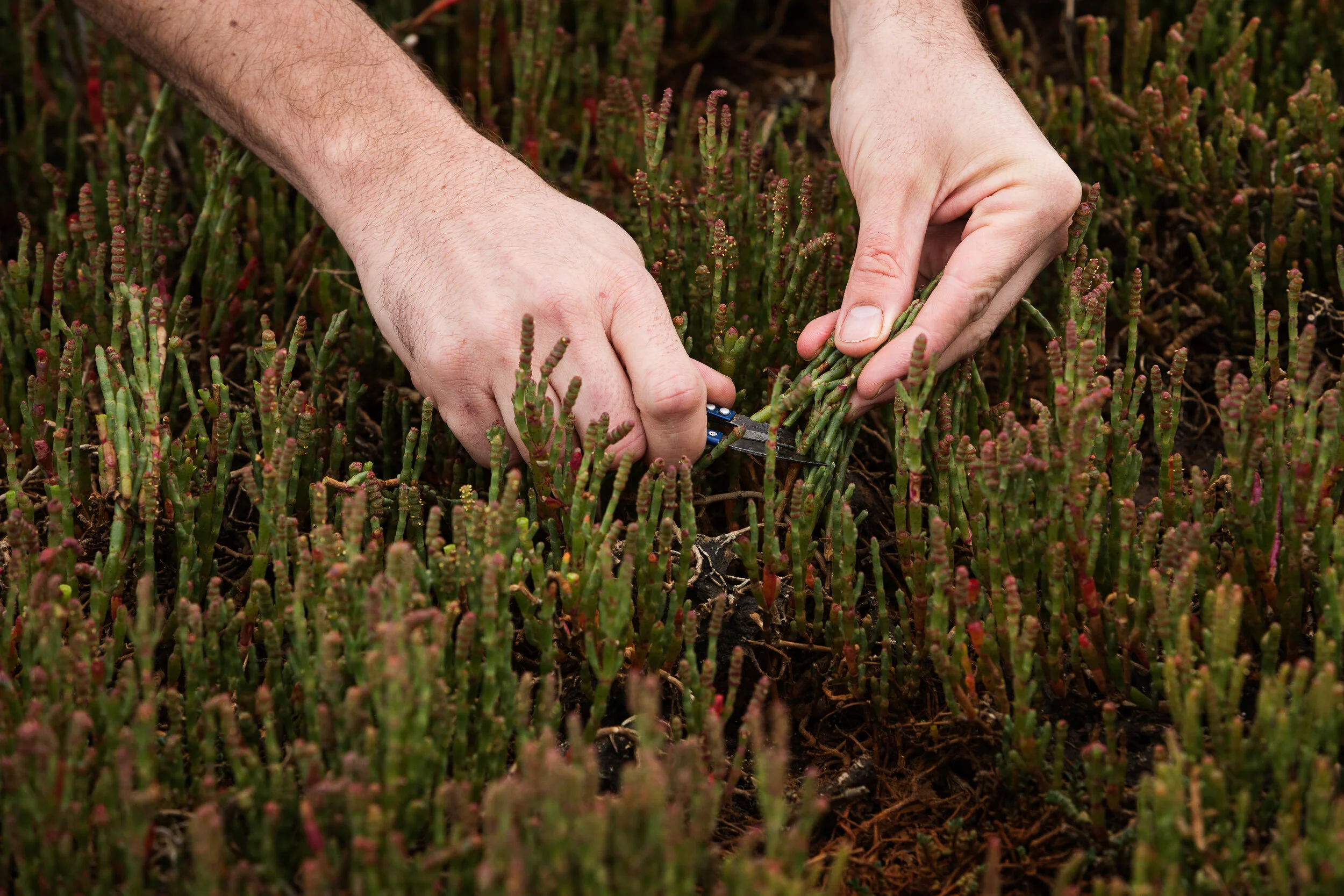 Sarah Anderson Photography