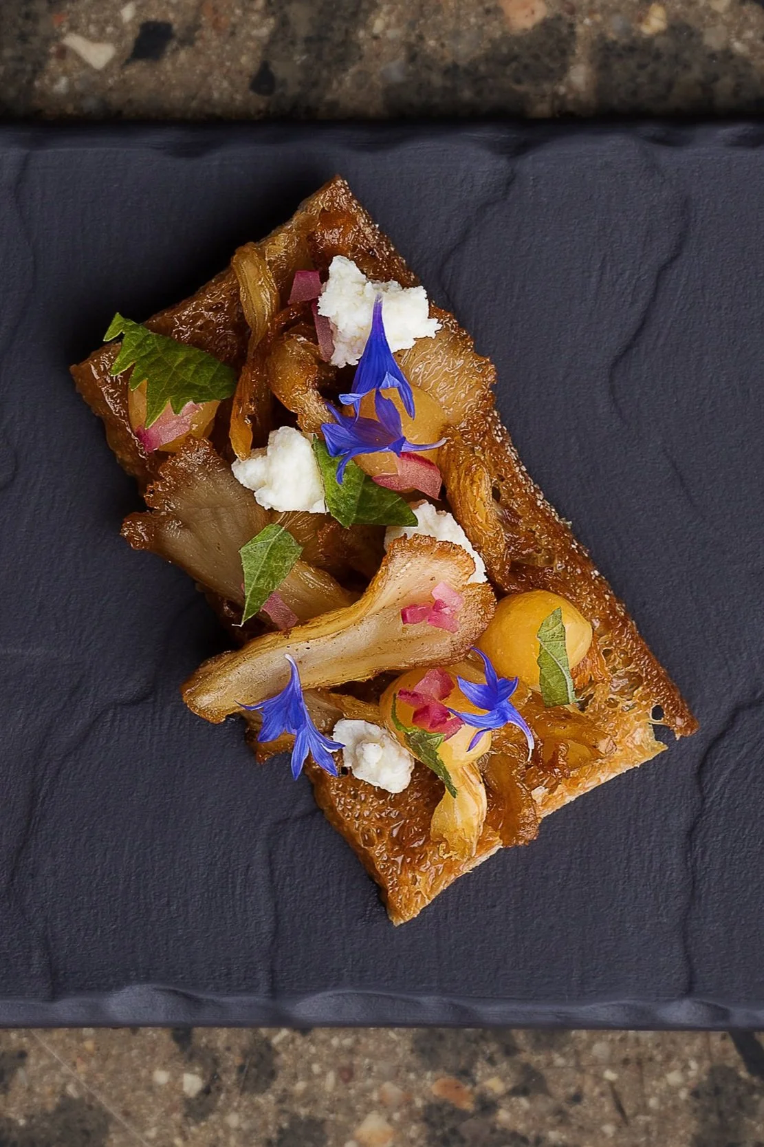 Photograph+for+tulip+restaurant+of+mushroom+toast+with+corn+flowers+from+the+patch+by+sarah+anderson+photography.jpg