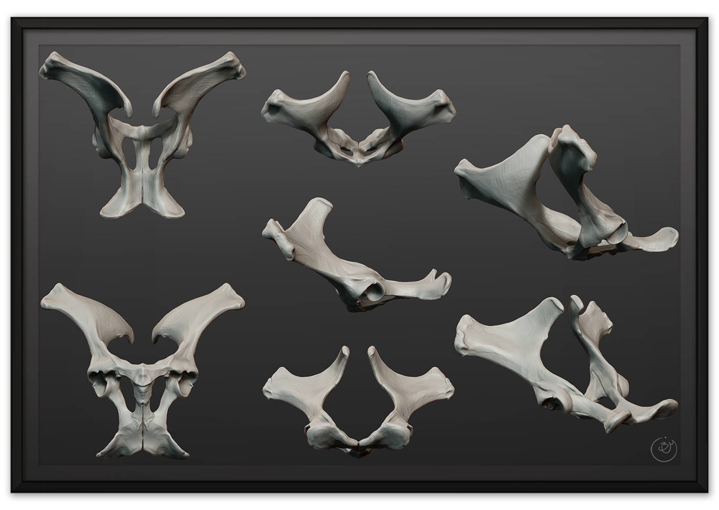 FrameMaker_HorsePelvis-1000px.png