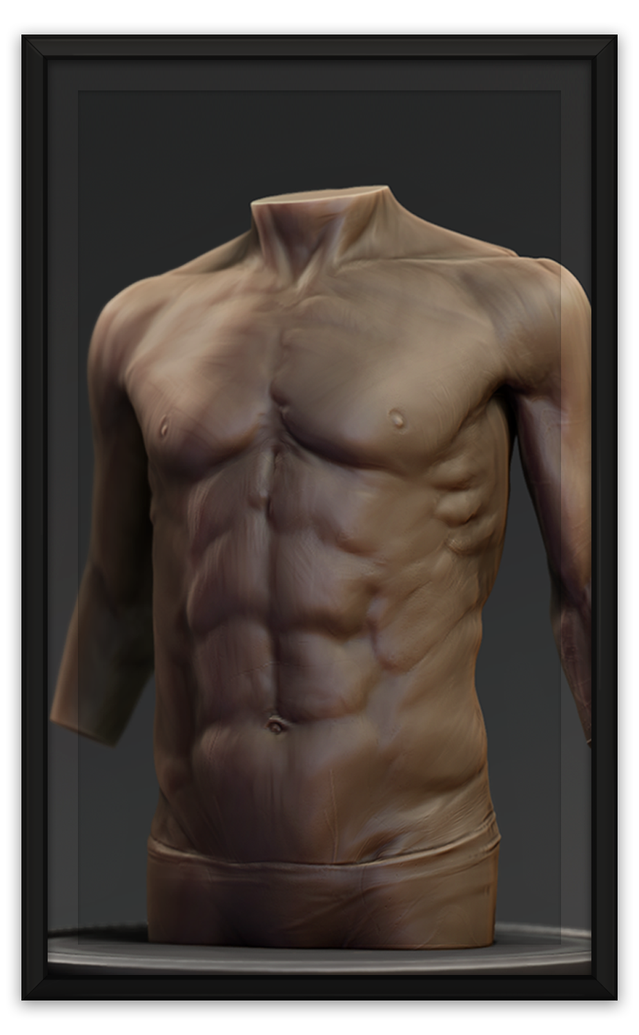 Anatomy_Thumb.png