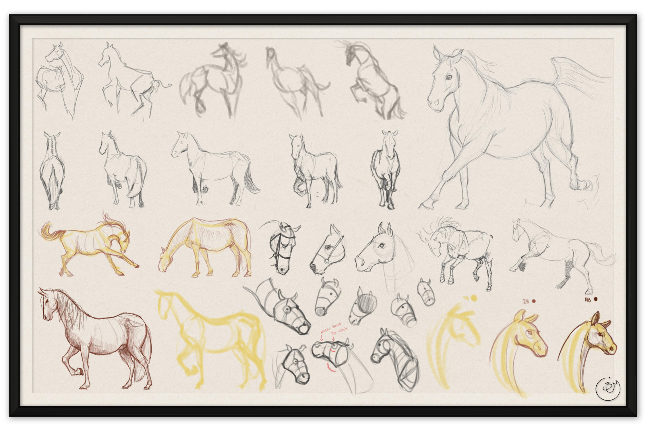BenMiller_HorseSketch-Gestures-1500px.png