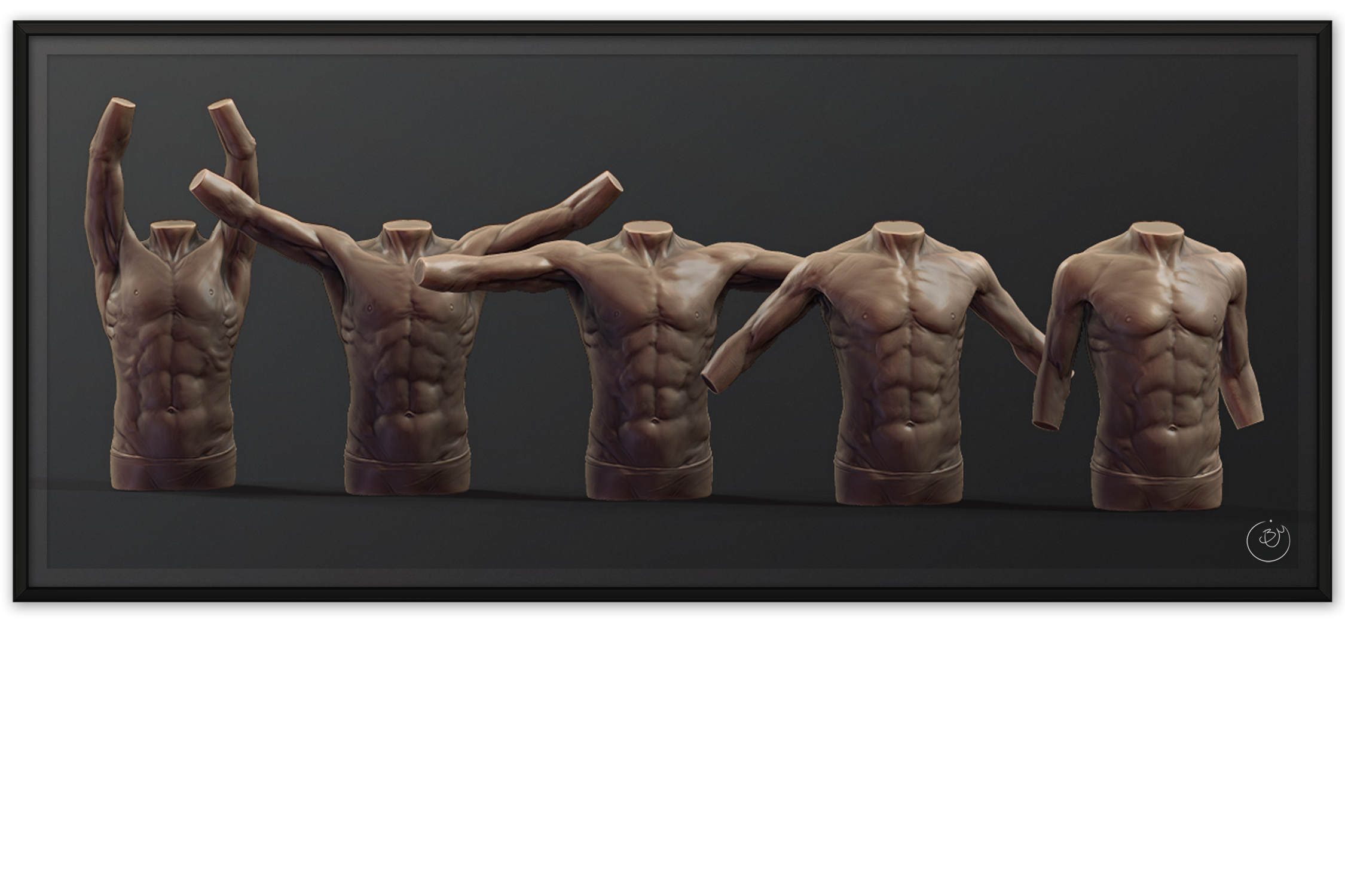 Torso Anatomy Blendshapes #1