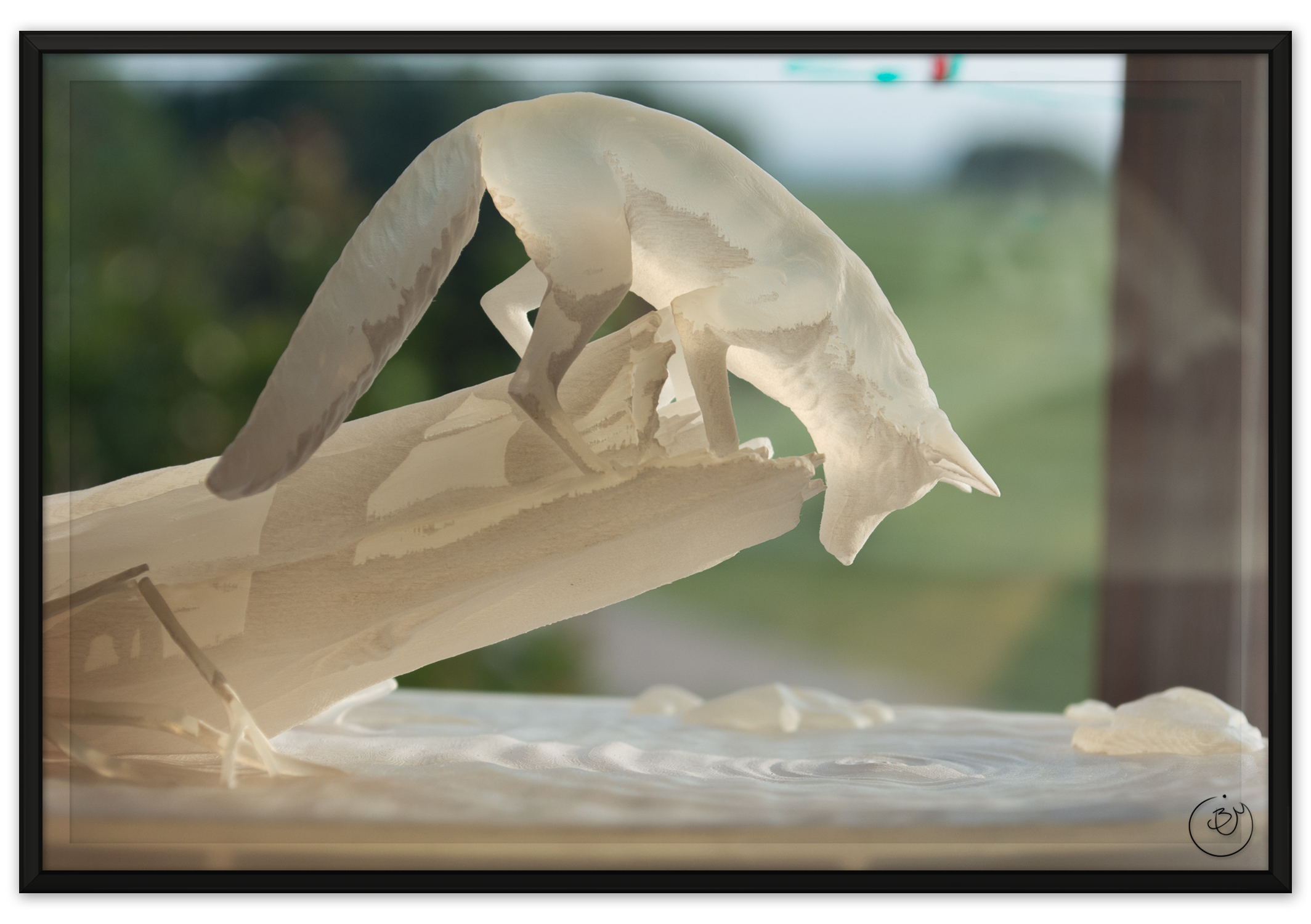 BenMiller_Fox-ClearSide-1500px.png